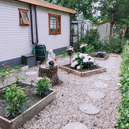 Hattemerbroek Chalet 58 "Pollie" מראה חיצוני תמונה