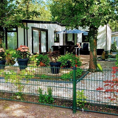 Hattemerbroek Chalet 58 "Pollie" מראה חיצוני תמונה