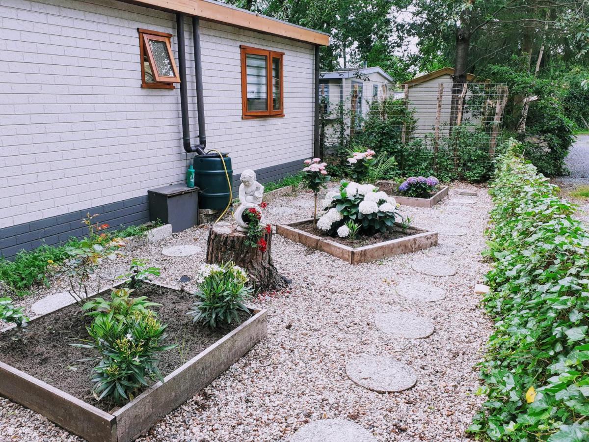 Hattemerbroek Chalet 58 "Pollie" מראה חיצוני תמונה
